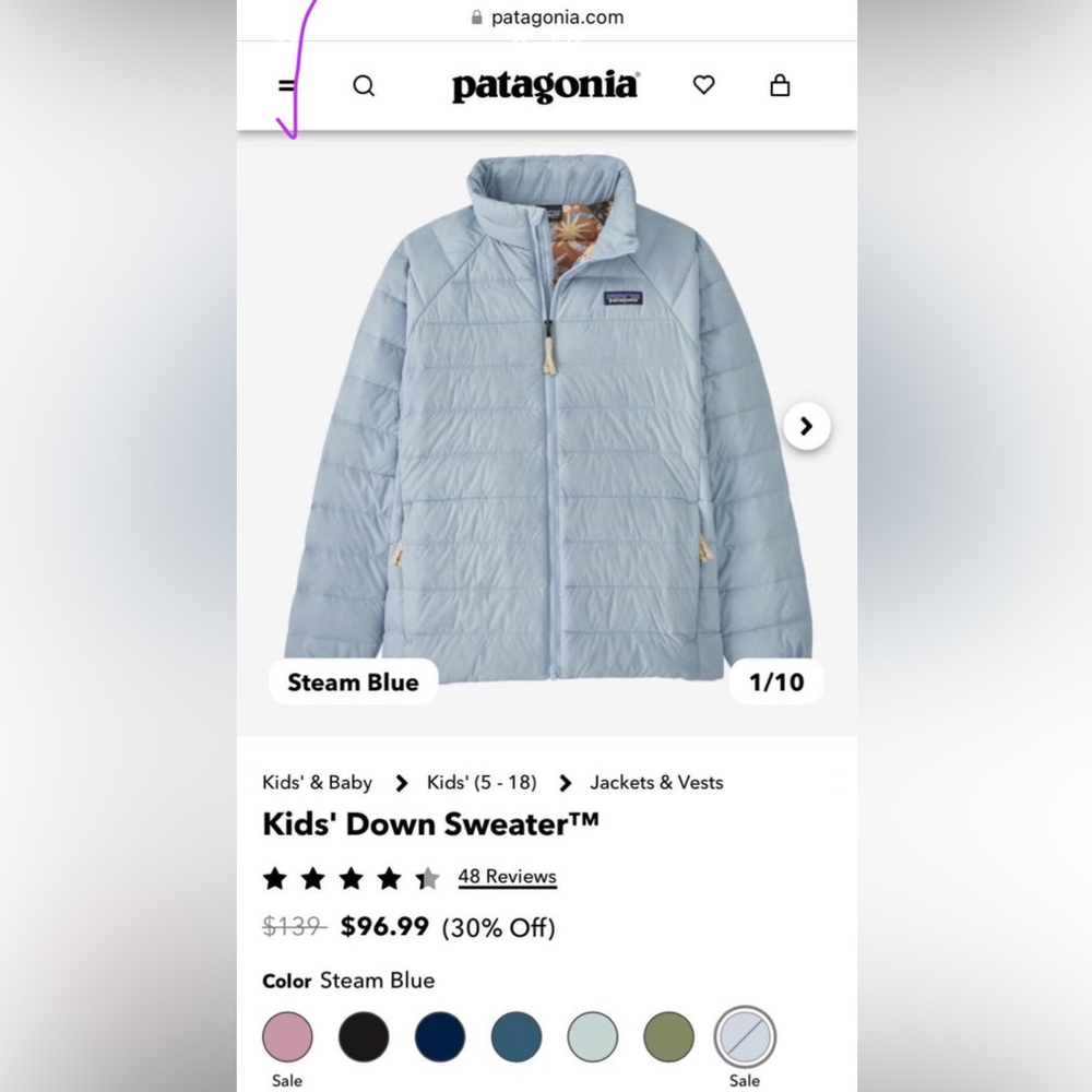 Girls (women’s size small) Patagonia puffer jacket